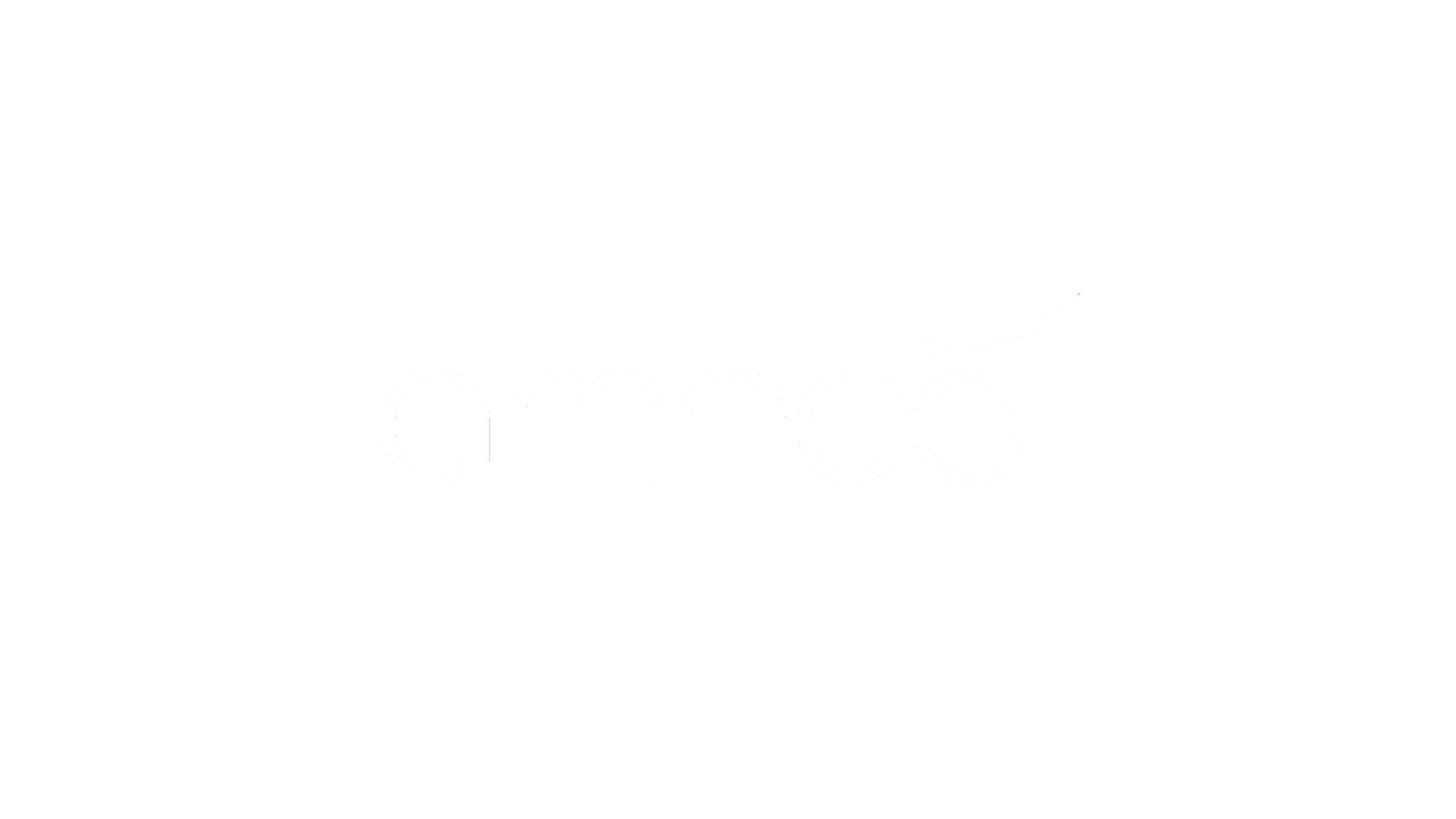 Amneo - Conseil en Management